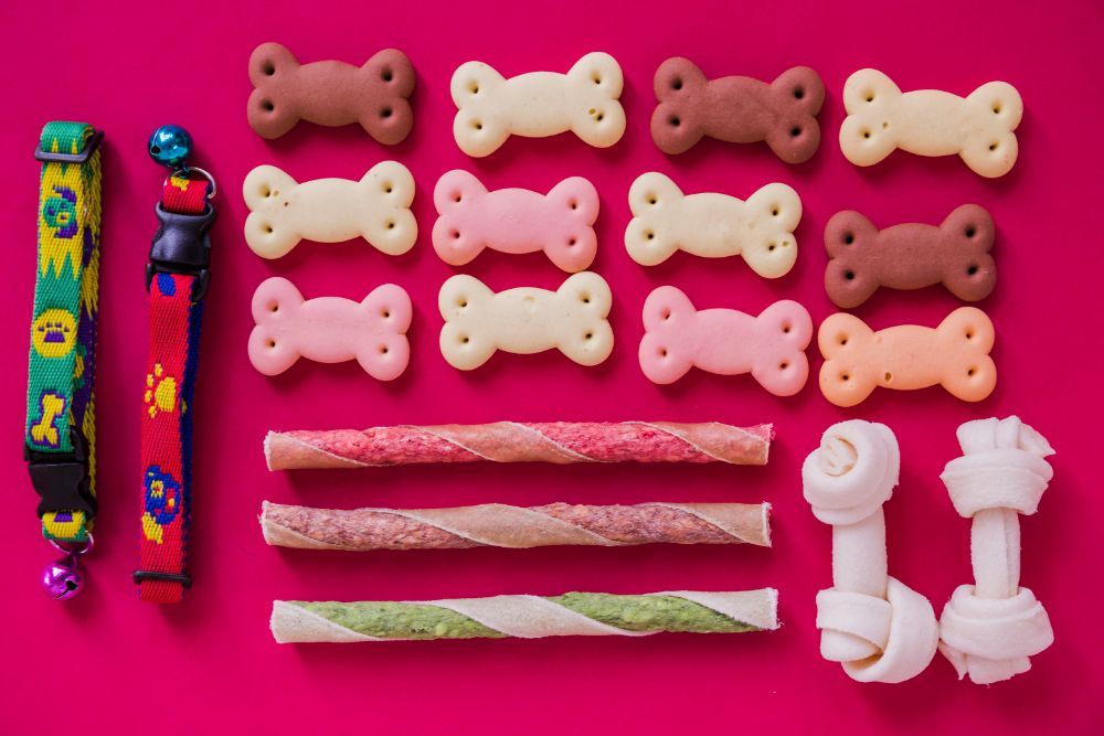 snacks naturales para perros