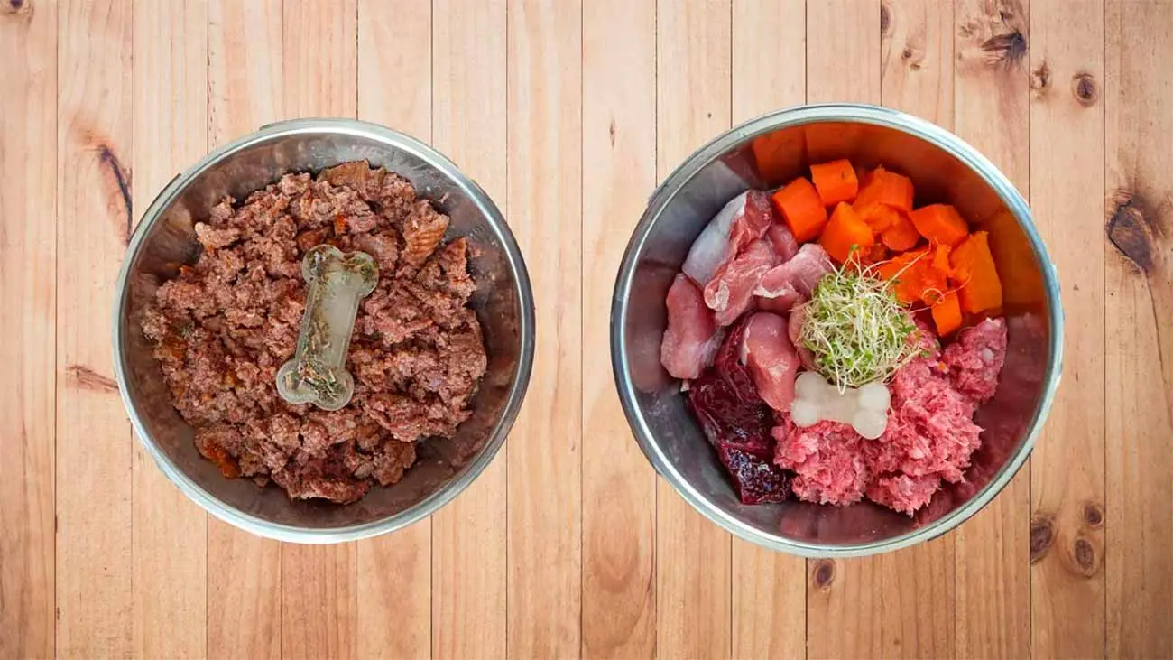 Ration ménagère pour chien: Guide pratique