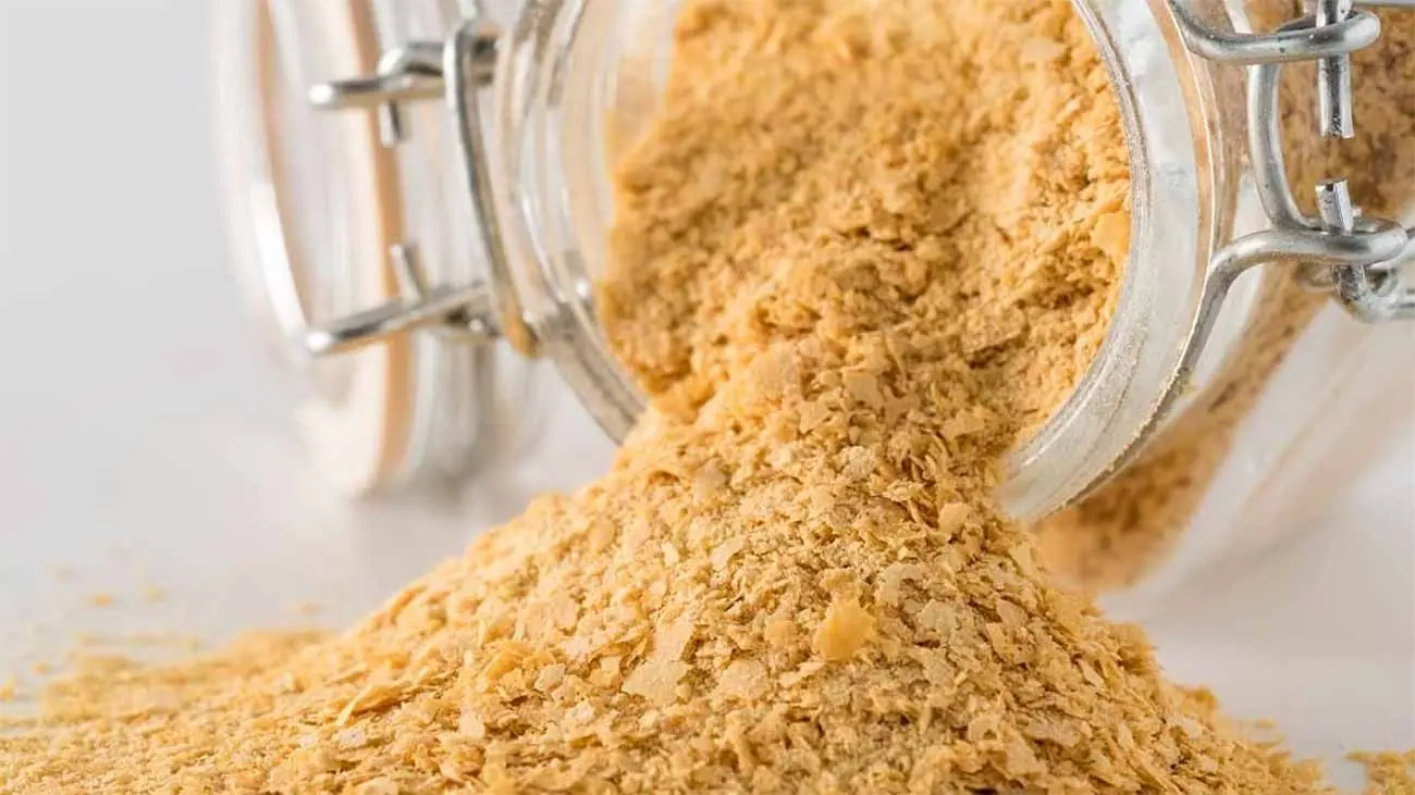 Levadura de cerveza para perros: Descubre sus increíbles beneficios con la dosificación ideal