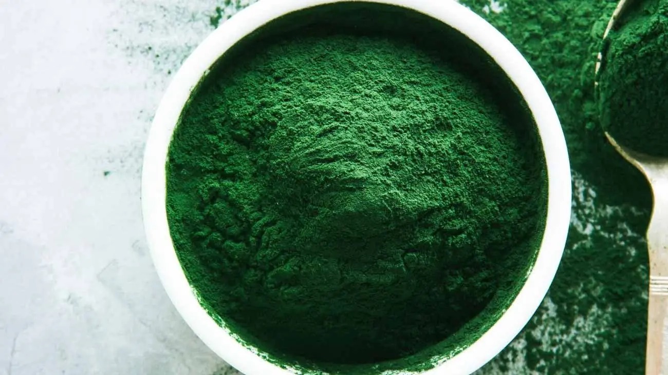El alga espirulina para perros: todo lo que necesitas saber