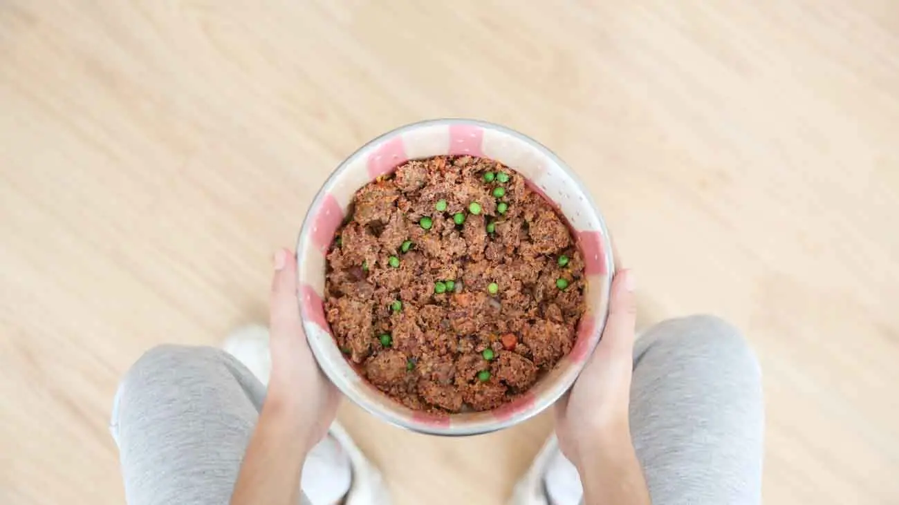 ¿Cómo hacer una dieta mixta con pienso para perros?