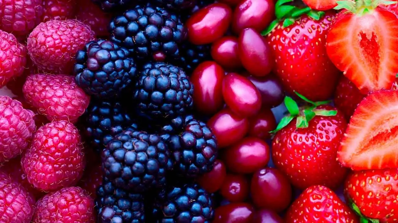 Las mejores frutas de verano para perros