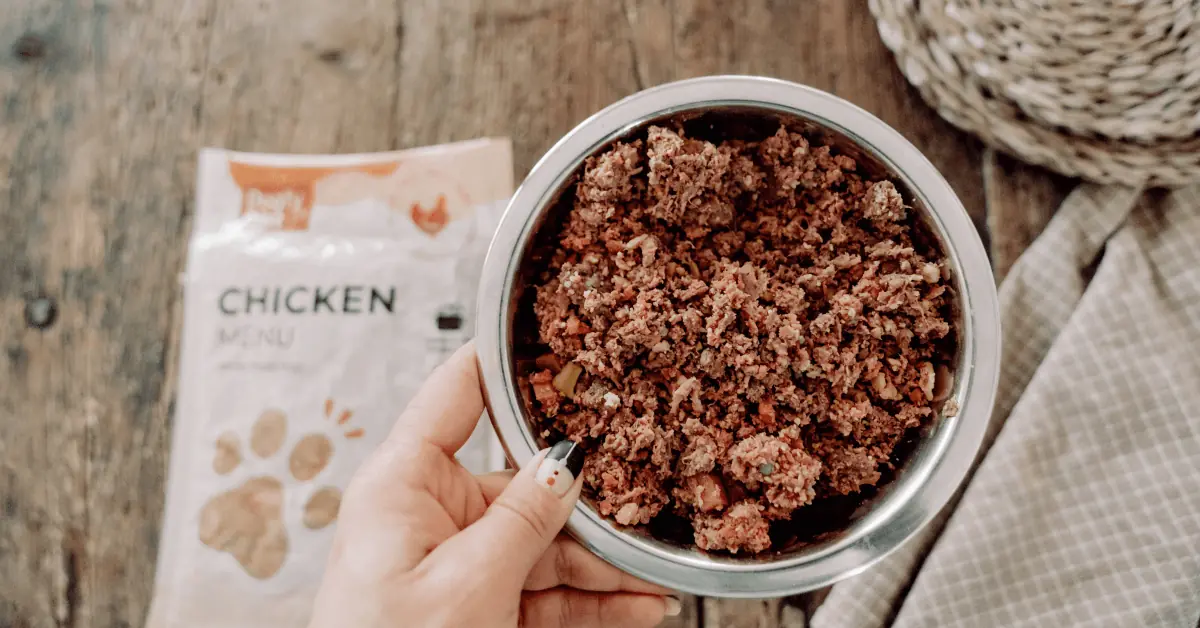 ciotola con cibo cani e busta di cibo
