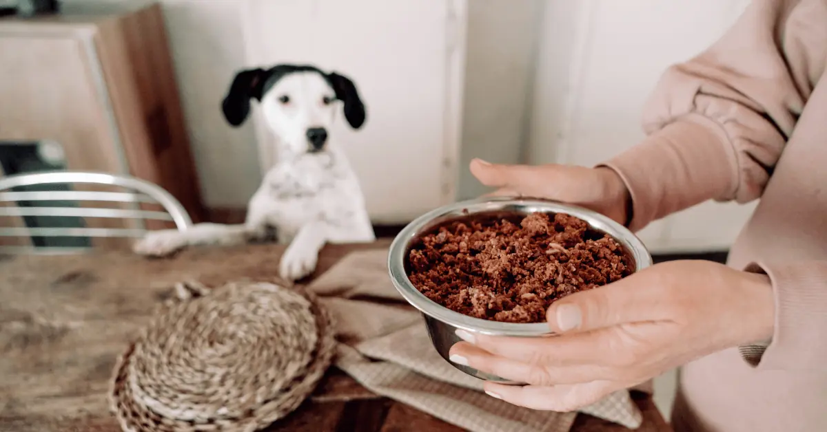 Come cambiare cibo al cucciolo?