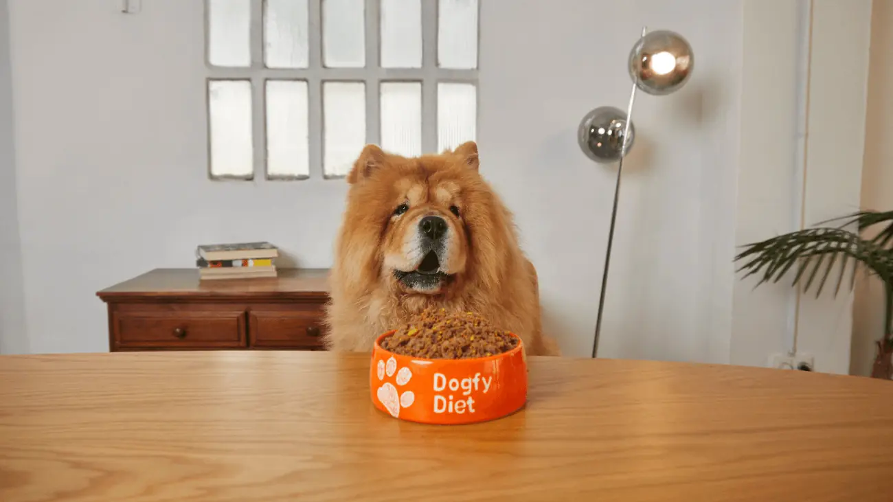 Alimentazione mista per cani: dosi e consigli