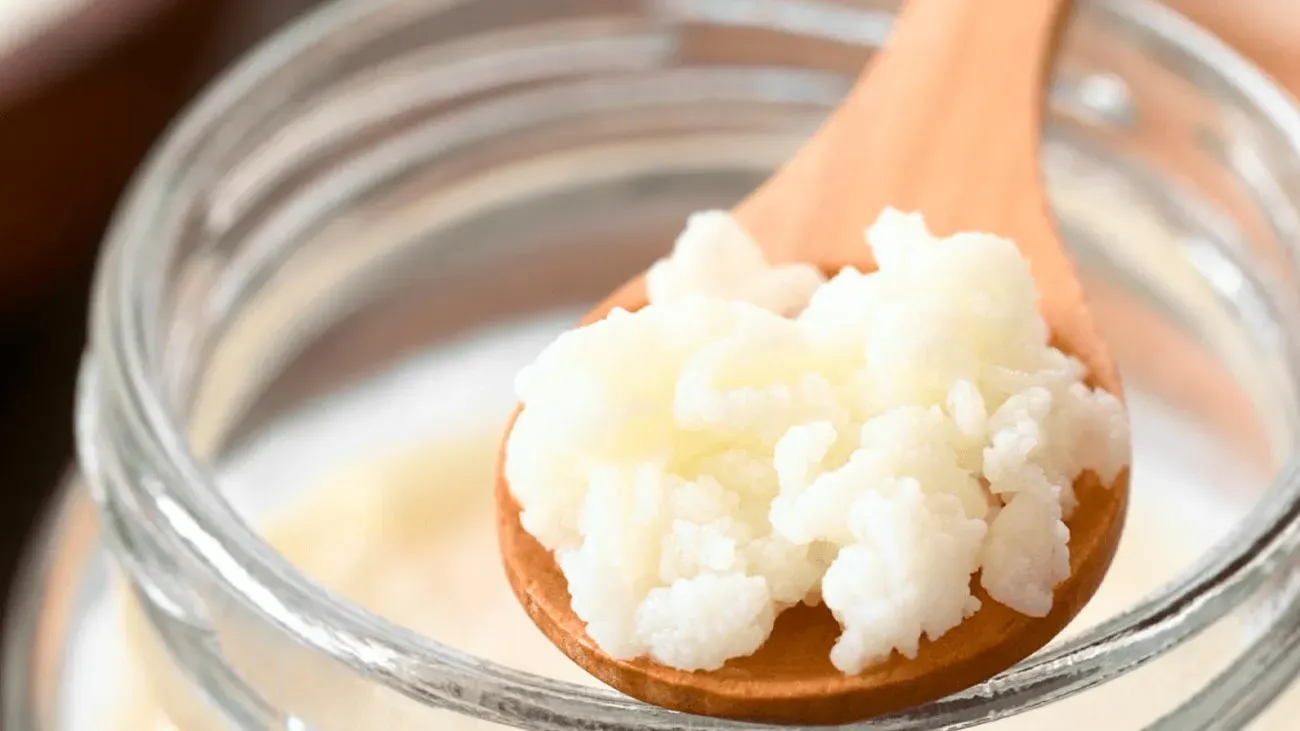 Probiotiques pour chien : l'importance de les inclure dans leur régime naturel