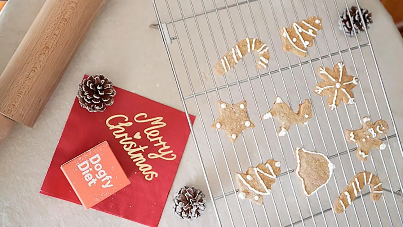 Receta de Navidad para perros: galletas de Dogfy Diet