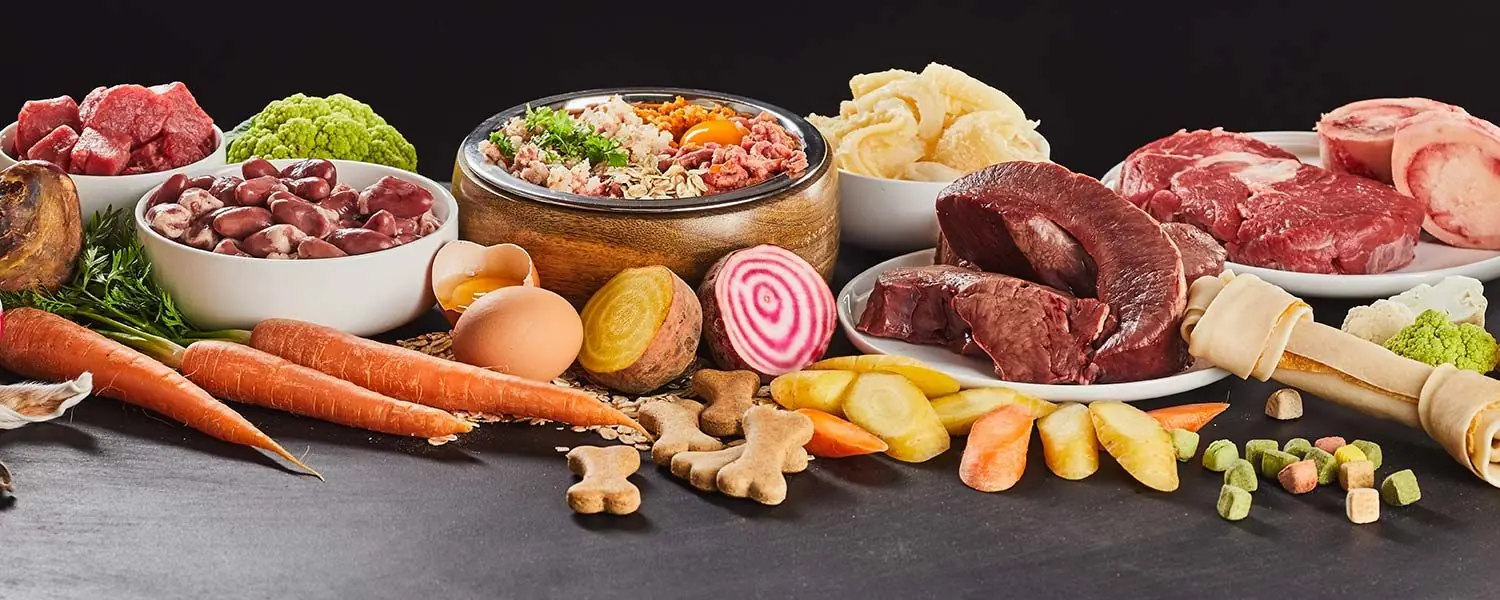 Comida natural y cocinada para perros: ¿por qué es la mejor opción de alimentación?