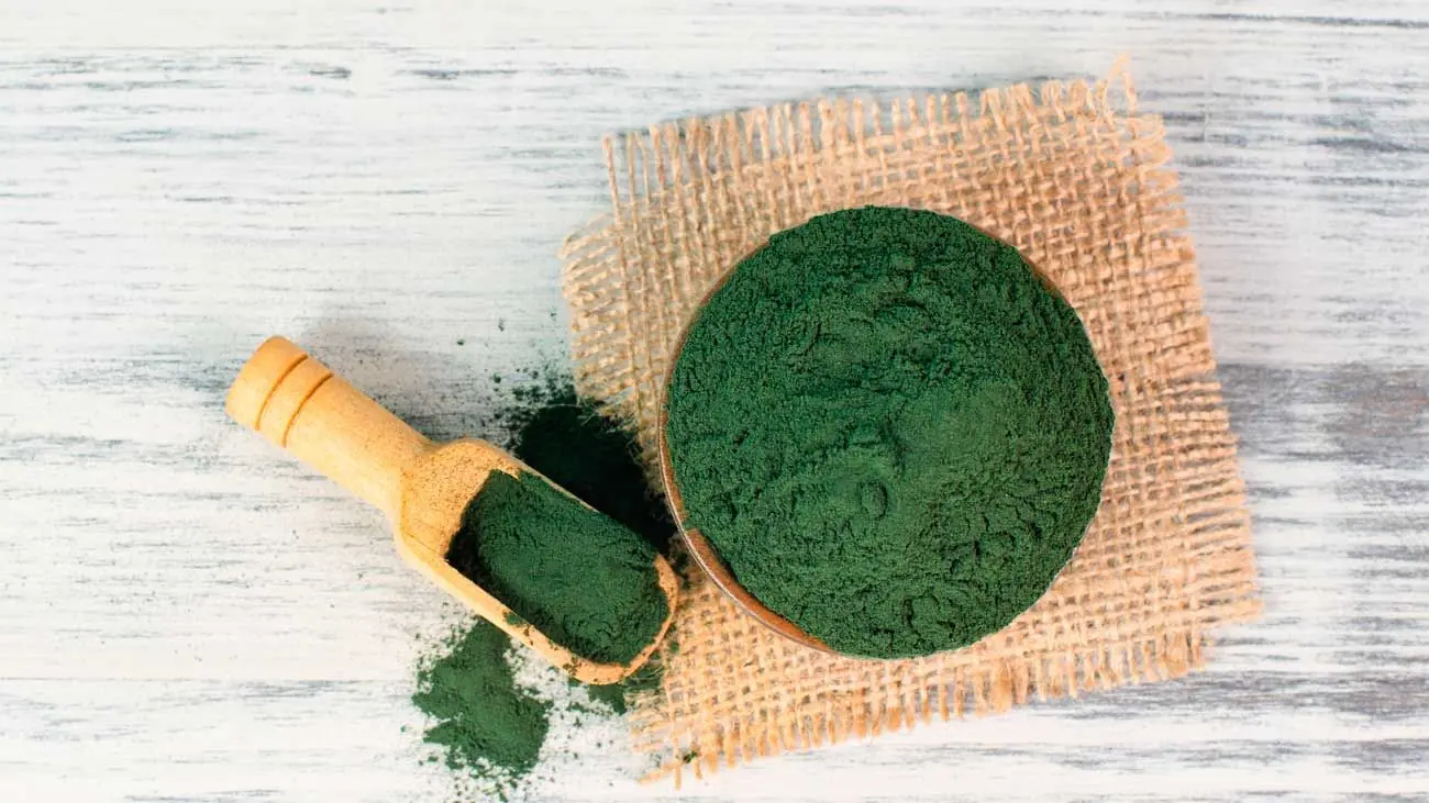 algue spiruline chien