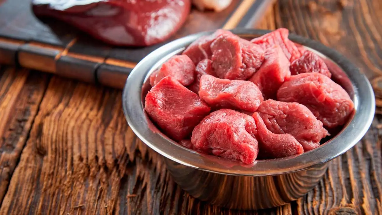 carne para perros