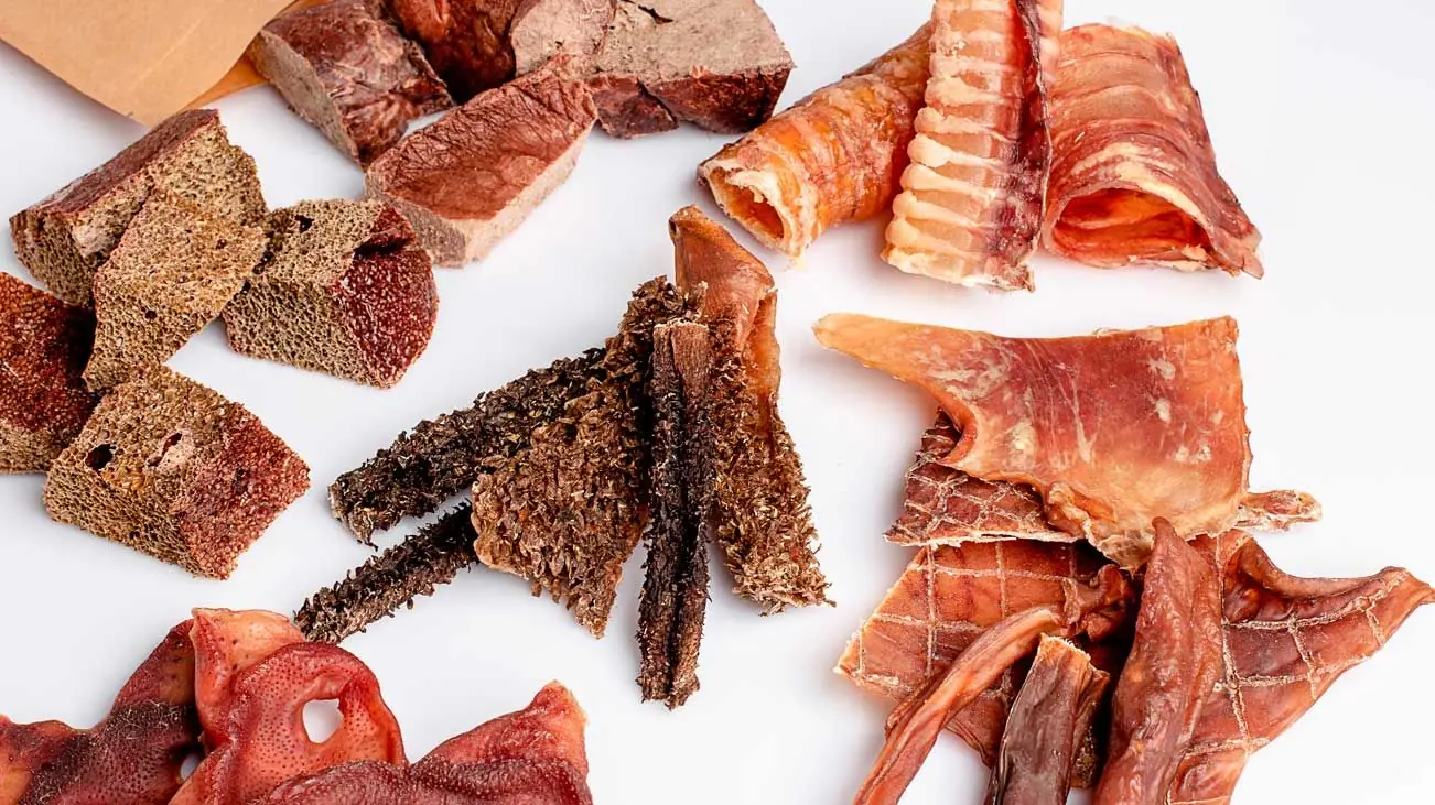 comida deshidratada perros