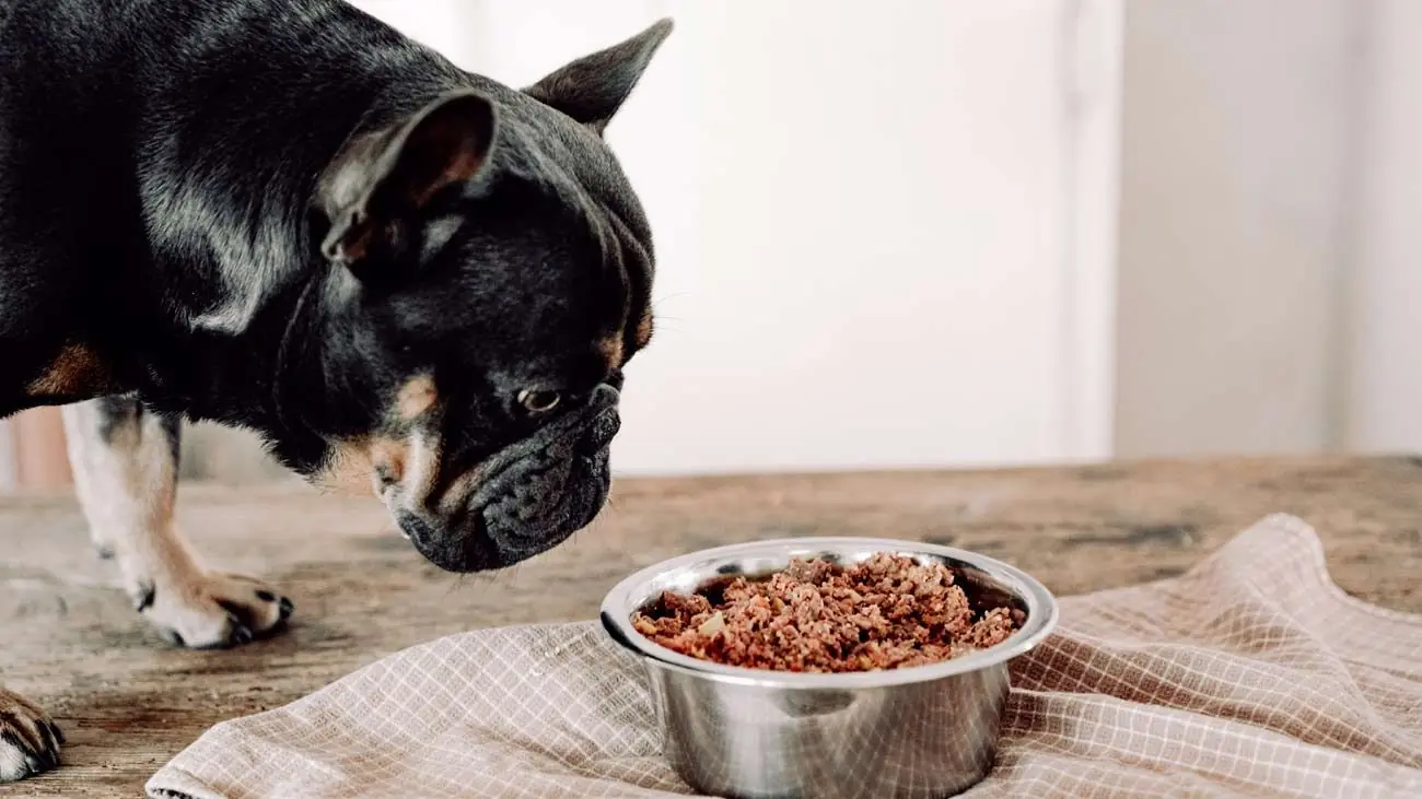 comida natural perros