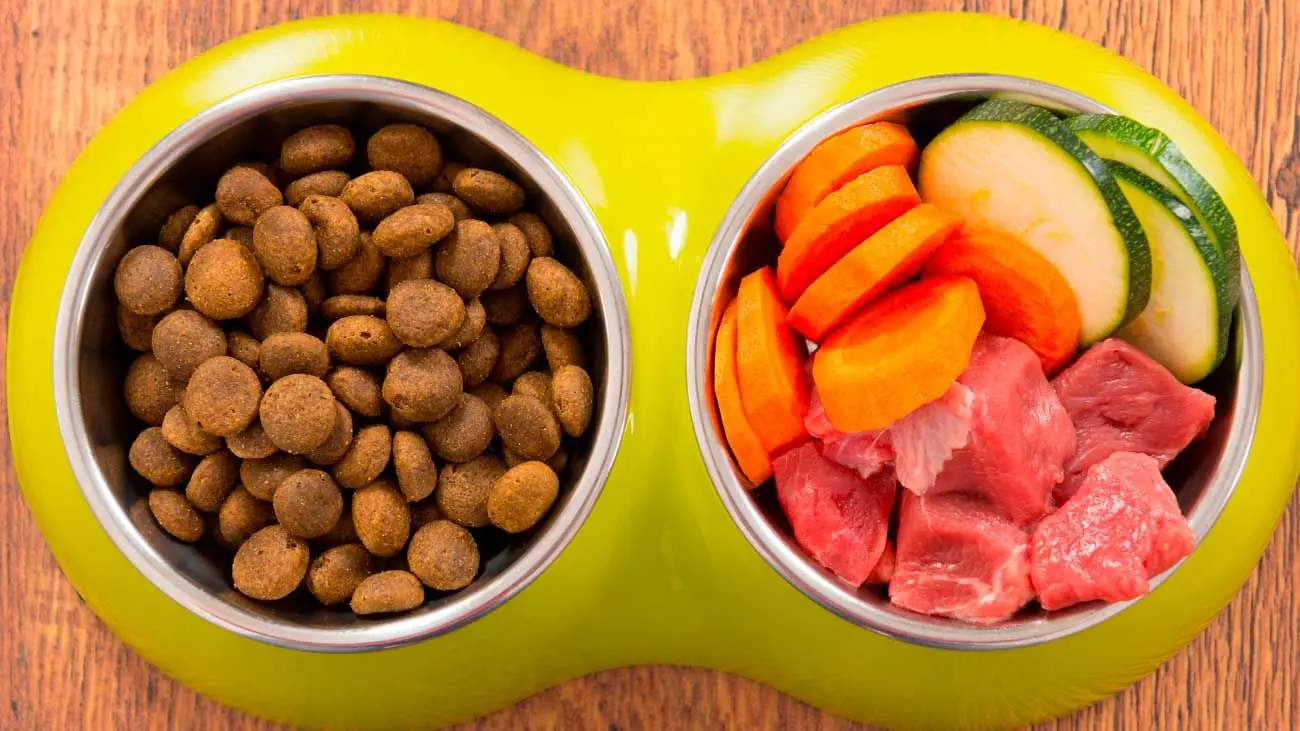 Comida para perros