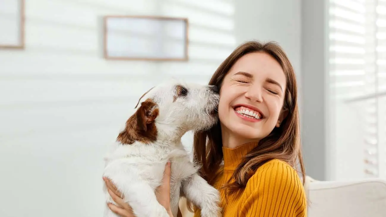 chiens heureux