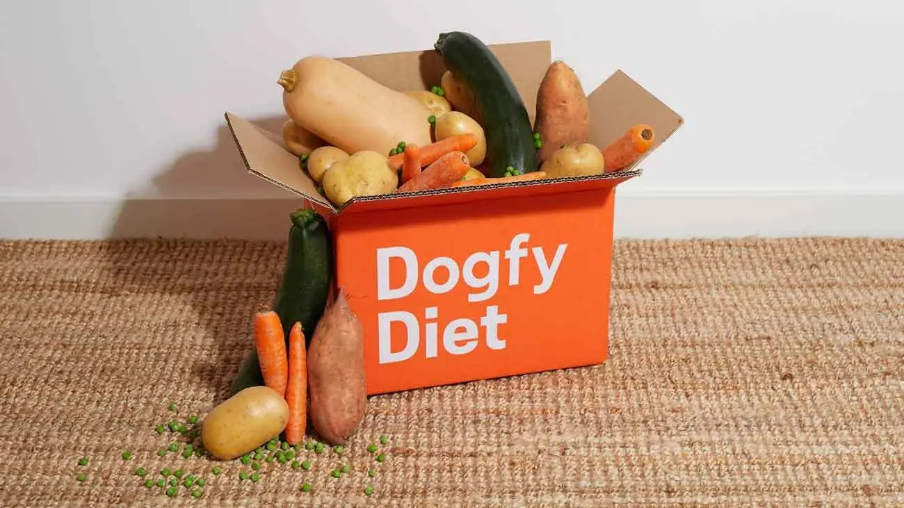 fruits legumes chiens