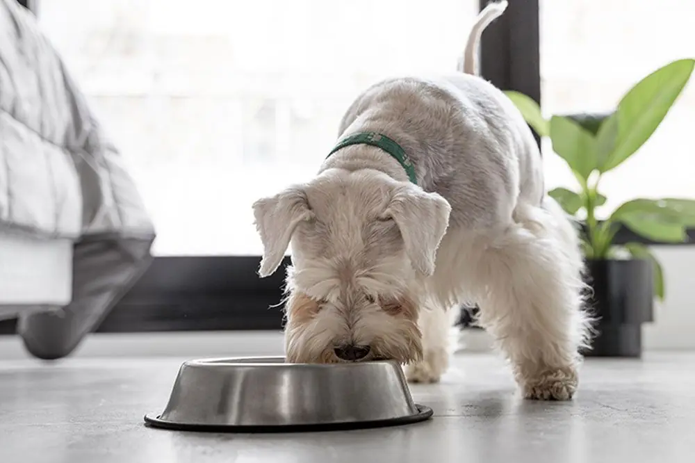 Come favorire il suo recupero