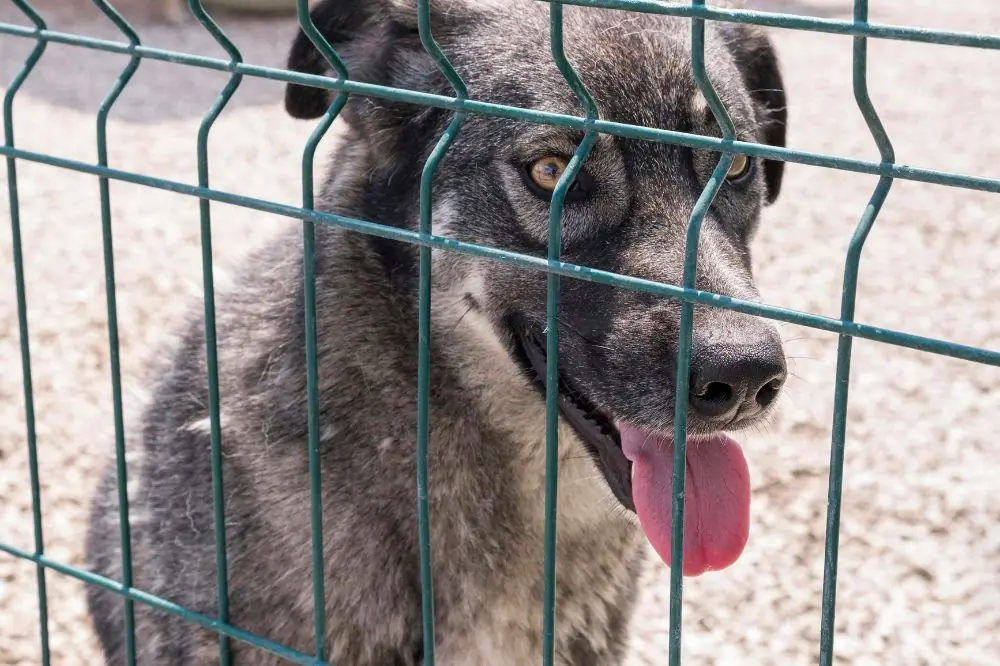 Lavora sui tuoi segnali di uscita