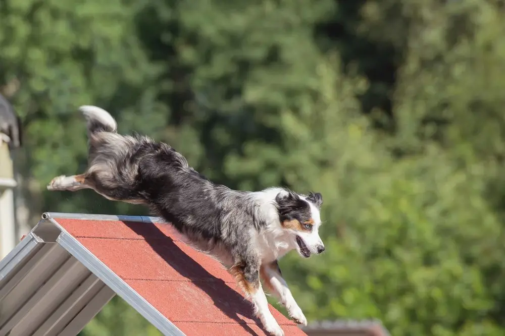 Postopératoire après une intervention chirurgicale