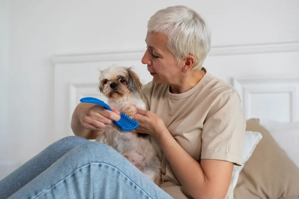 7 façons de prendre soin de l'hygiène de votre chien