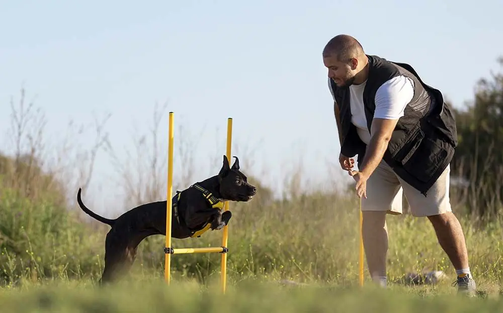 Addestramento di protezione