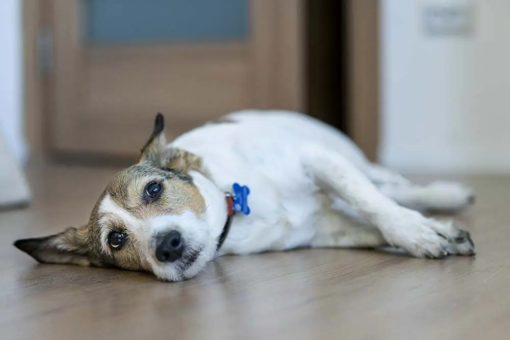 Cancro osseo Come viene diagnosticato