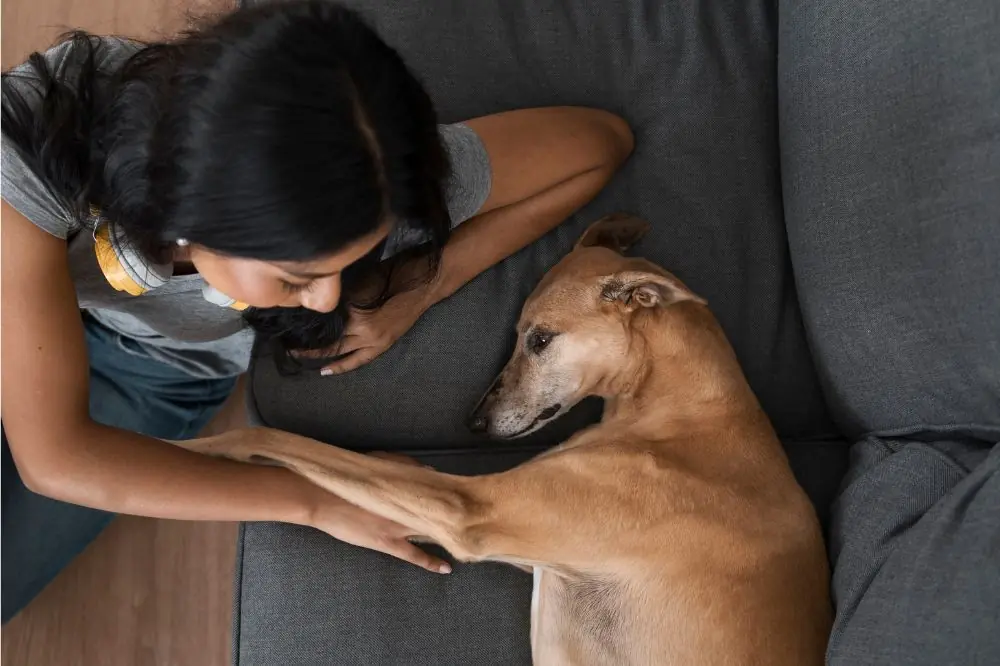 Changements de comportement