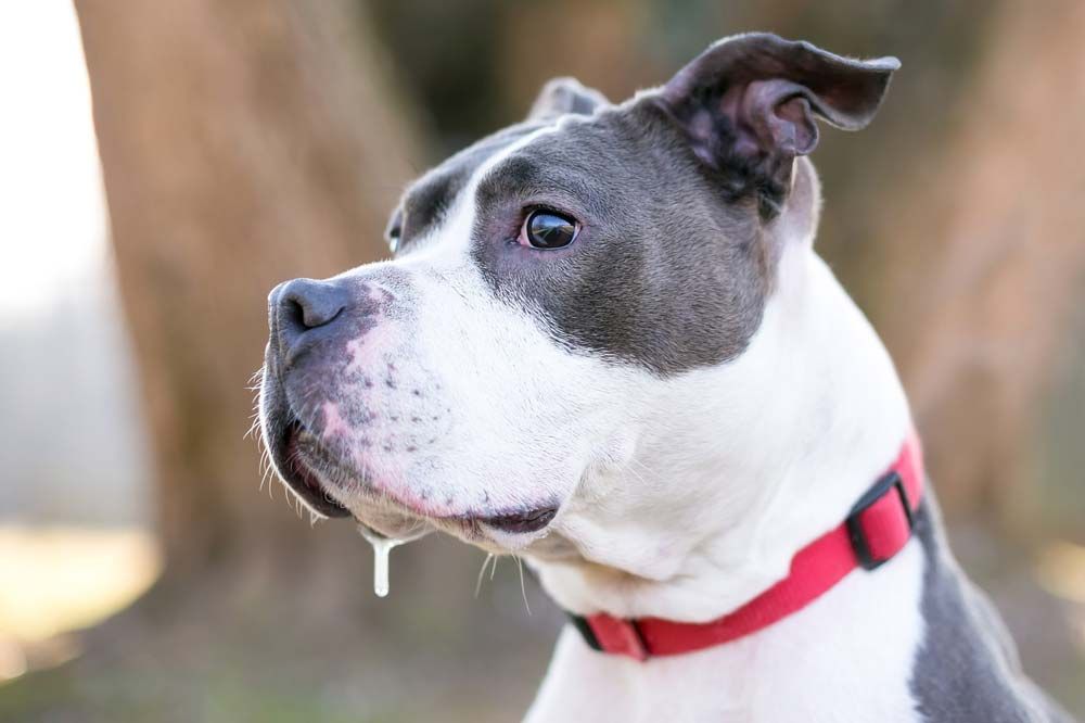 Come affrontare efficacemente questo problema