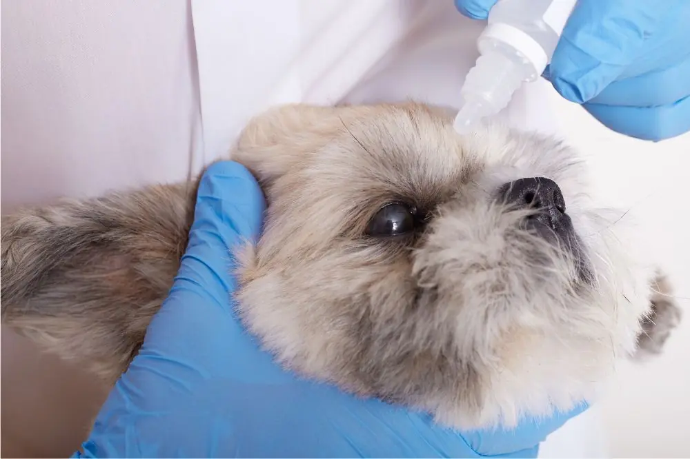 Comment administrer des medicaments en toute securite