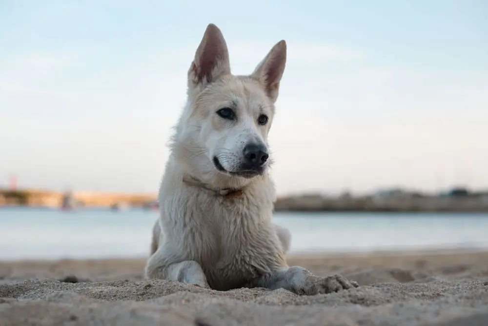 Kala,In,Pontevedra,,Galicia,(spain)