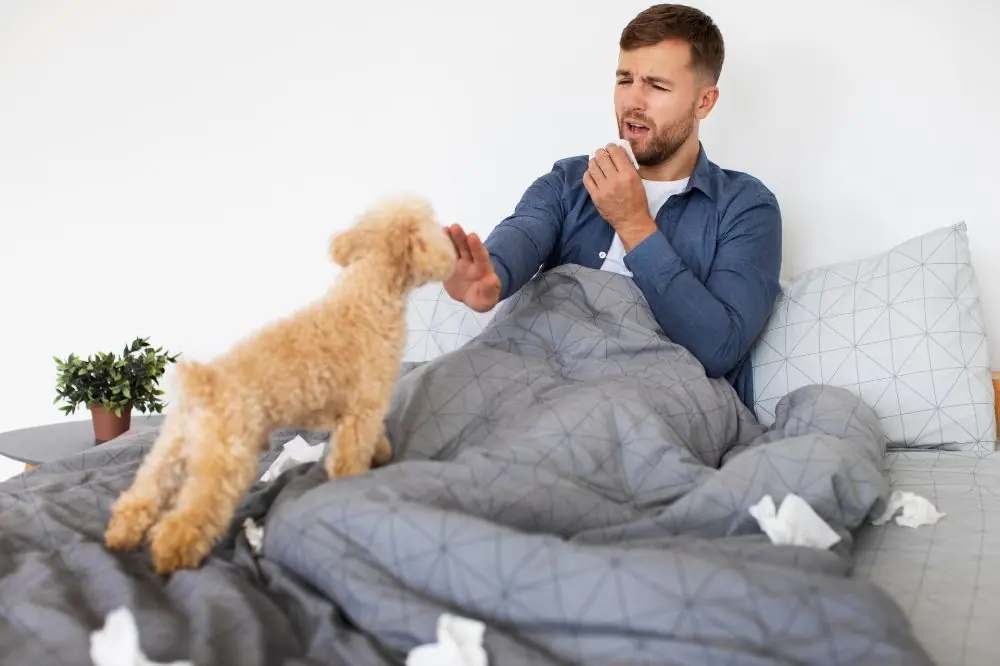 Comment prévenir et traiter les infections des voies respiratoires chez les chiens
