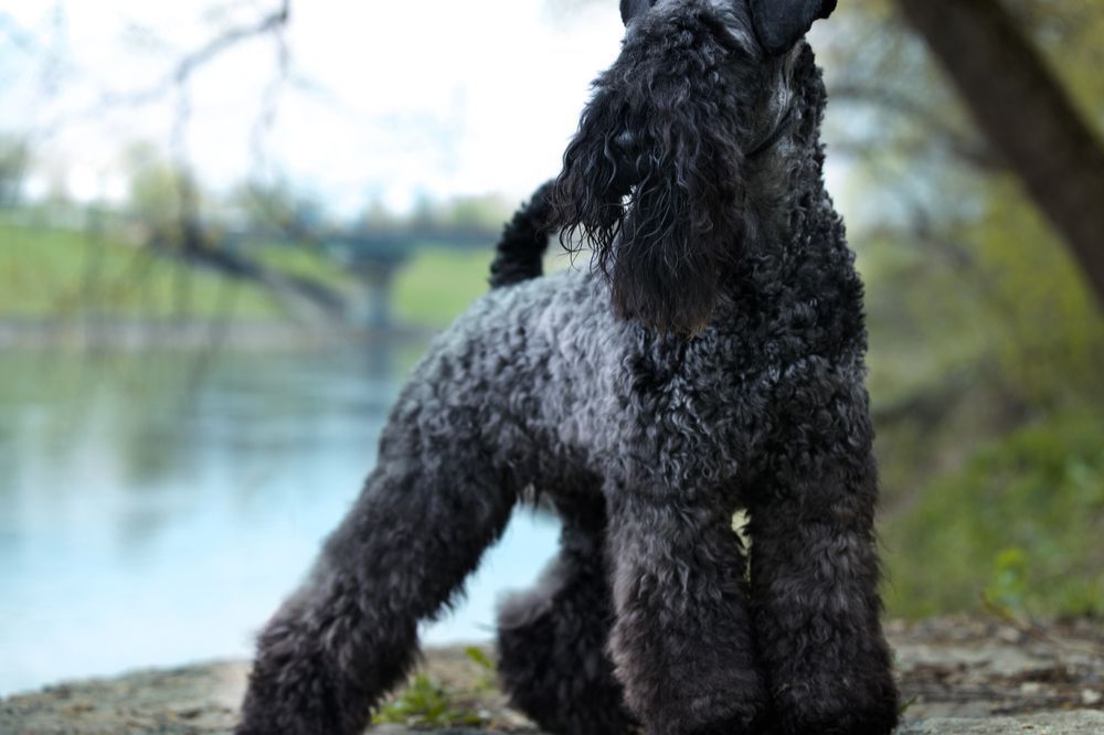 Conseils pour votre entrainement