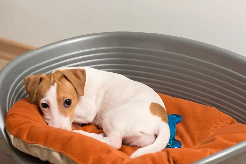 Corse piu brevi e frequenti