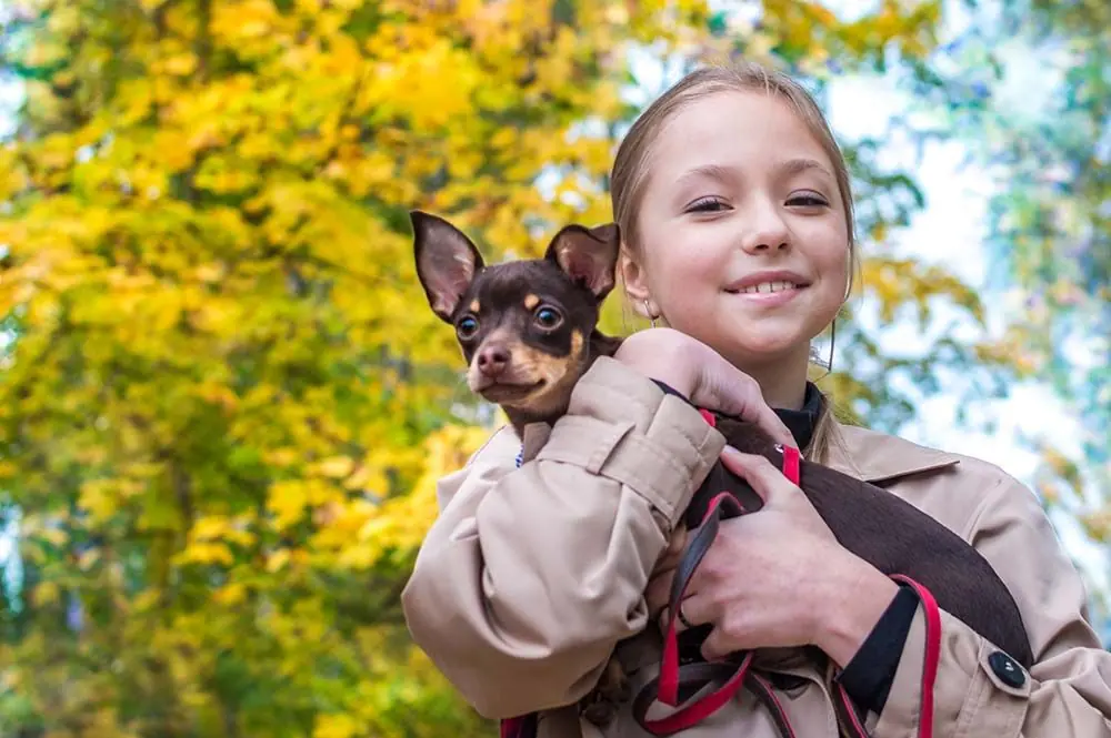 Crescere un cucciolo di cane: come nutrirlo correttamente