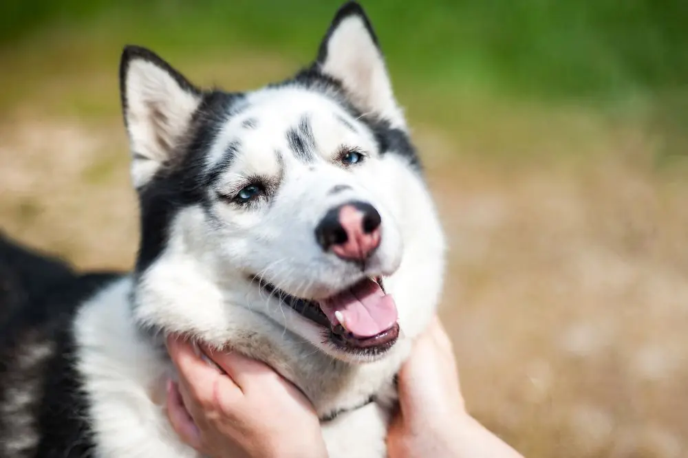 Cura delle articolazioni e prevenzione dei problemi di salute