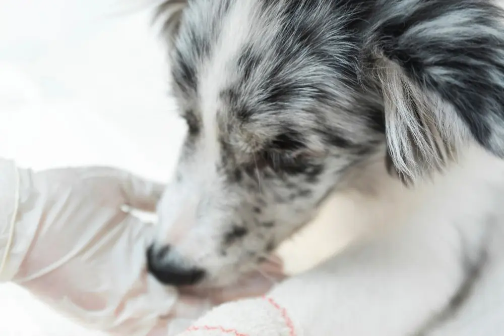 Diagnosi e trattamento