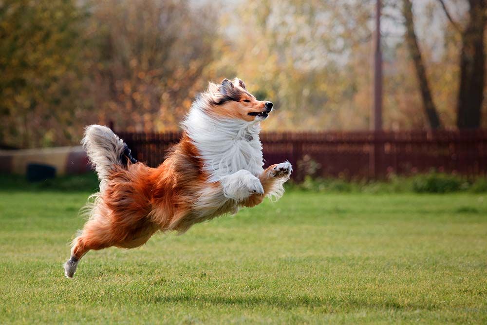 Essercizio un alleato nel controllo del glucosio