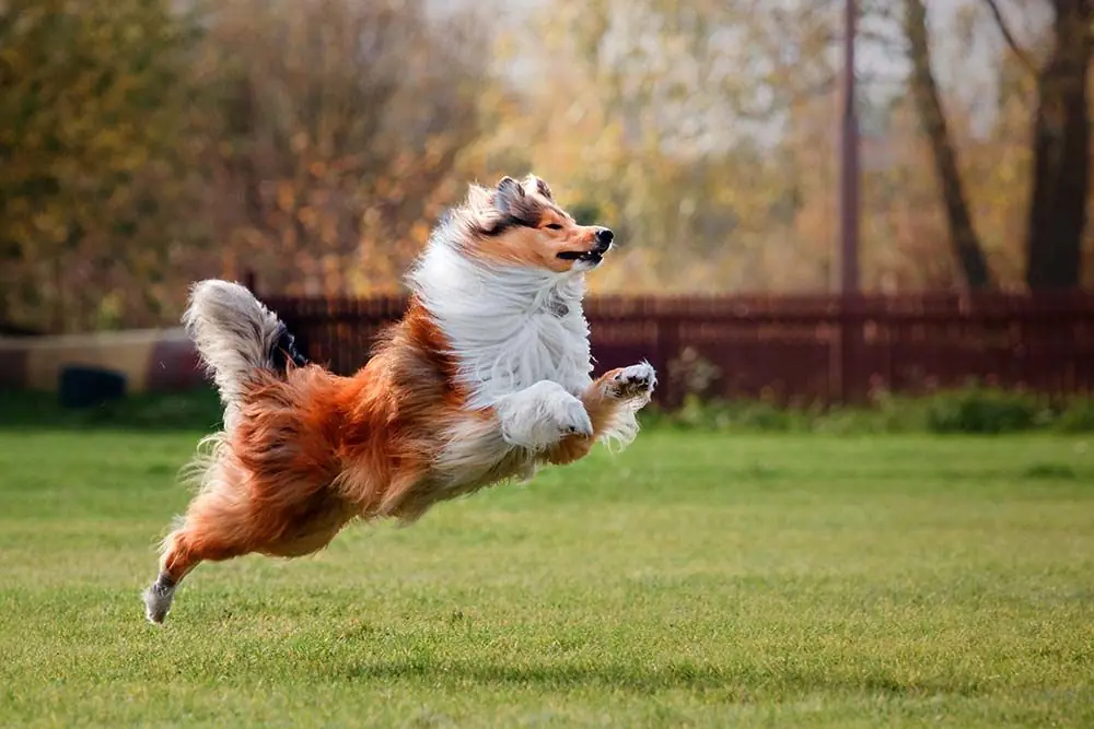 Essercizio un alleato nel controllo del glucosio