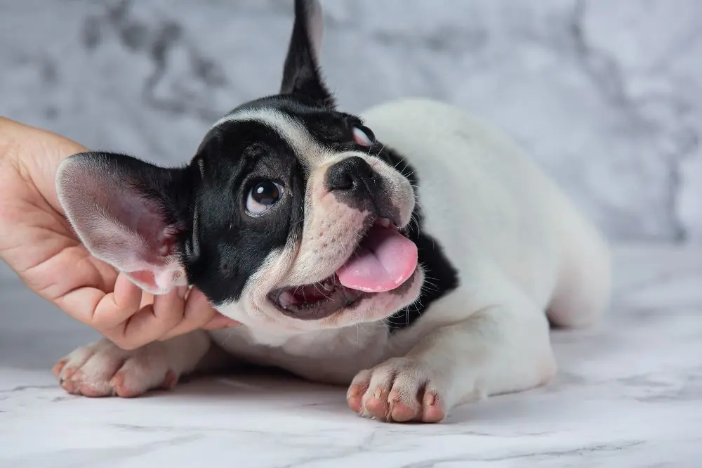 Evita le punizioni fisiche