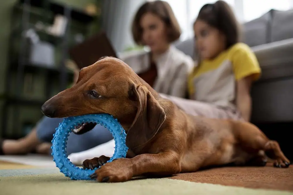 Giocattoli prodotti dentali