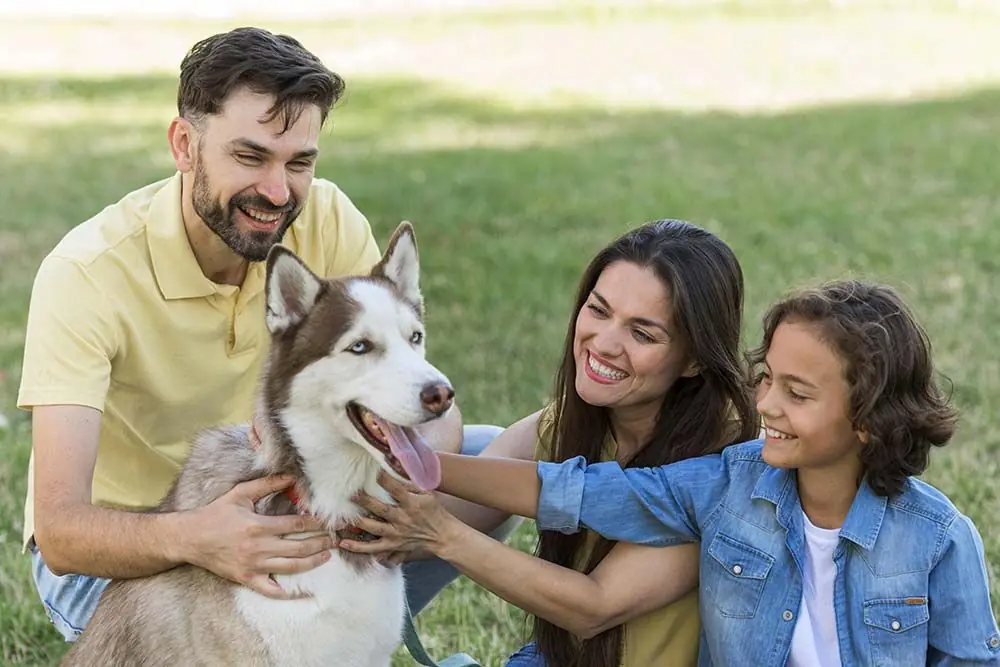 I Cani Intelligenti e Affettuosi: Come Scegliere il Migliore per Te