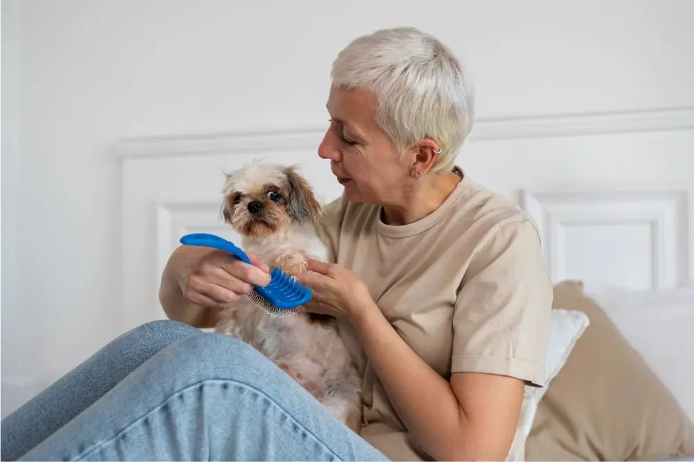 Iscrizione allorganizzazione di registrazione