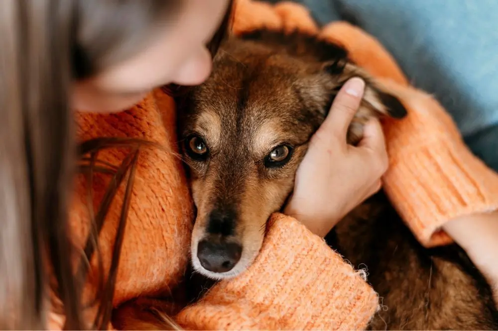 La conoscenza delle origini