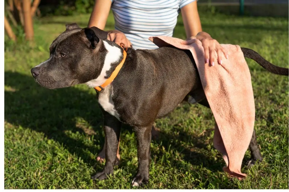 La physiotherapie et lexercice controle