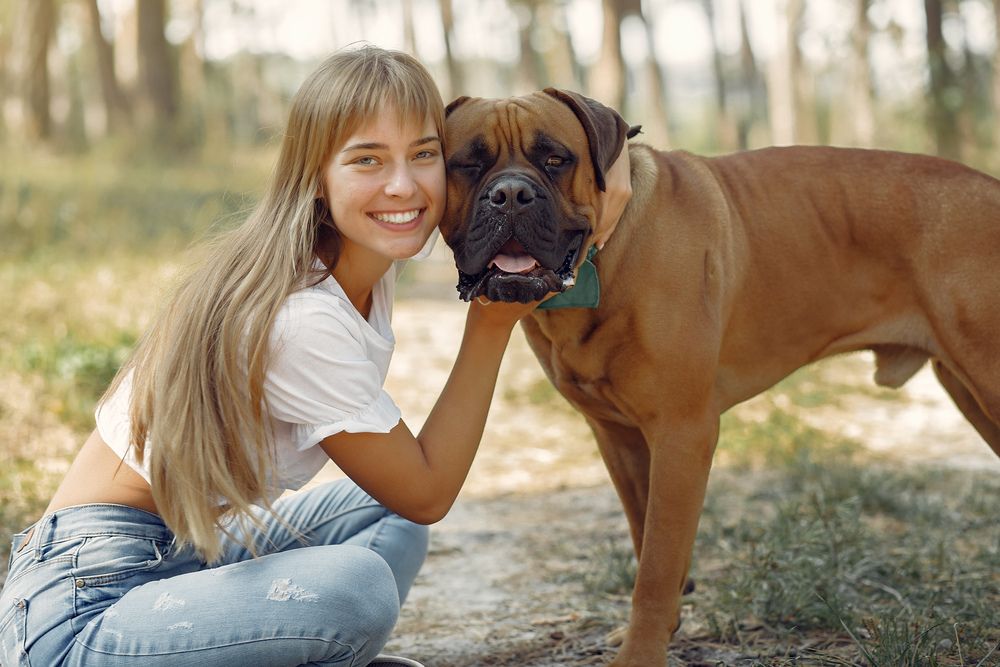 Mujer interactuando con su Bullmastiff en un entorno natural