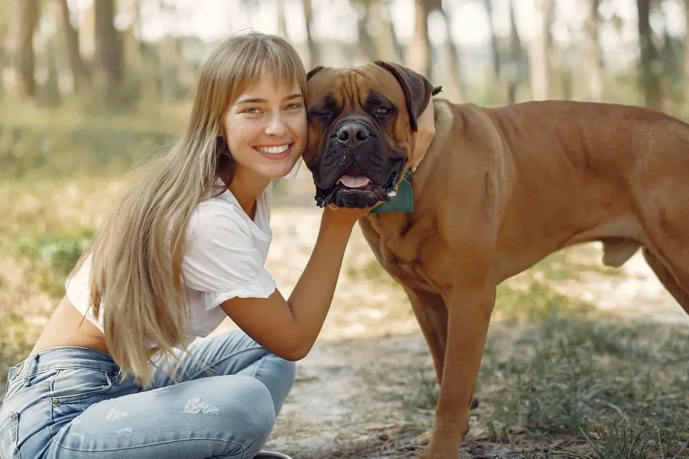 Mujer interactuando con su Bullmastiff en un entorno natural