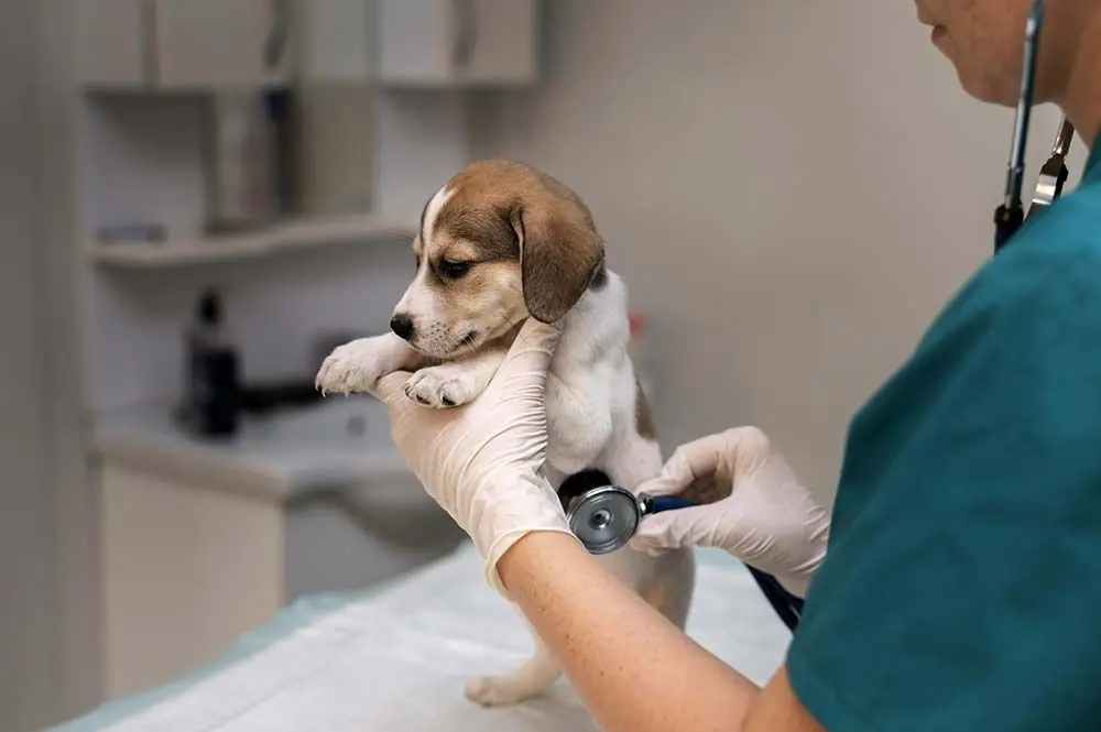 Perdita di peso inspiegata