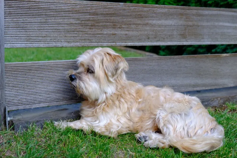 Problemes de sante les plus frequents et comment les prevenir