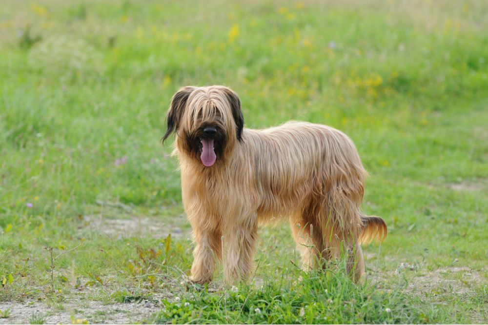 Quels aliments ajouter a votre alimentation et lesquels eviter