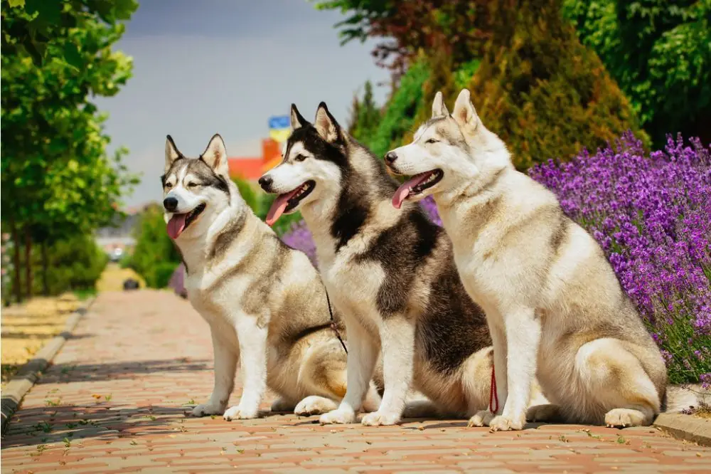 Salud y cuidados medicos