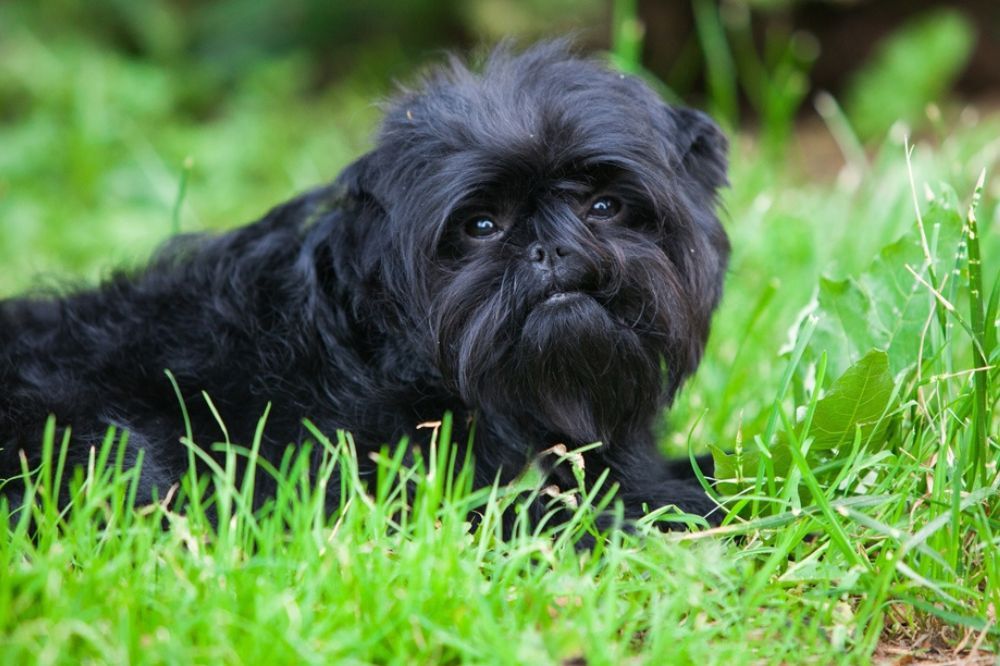 Salud y cuidados medicos